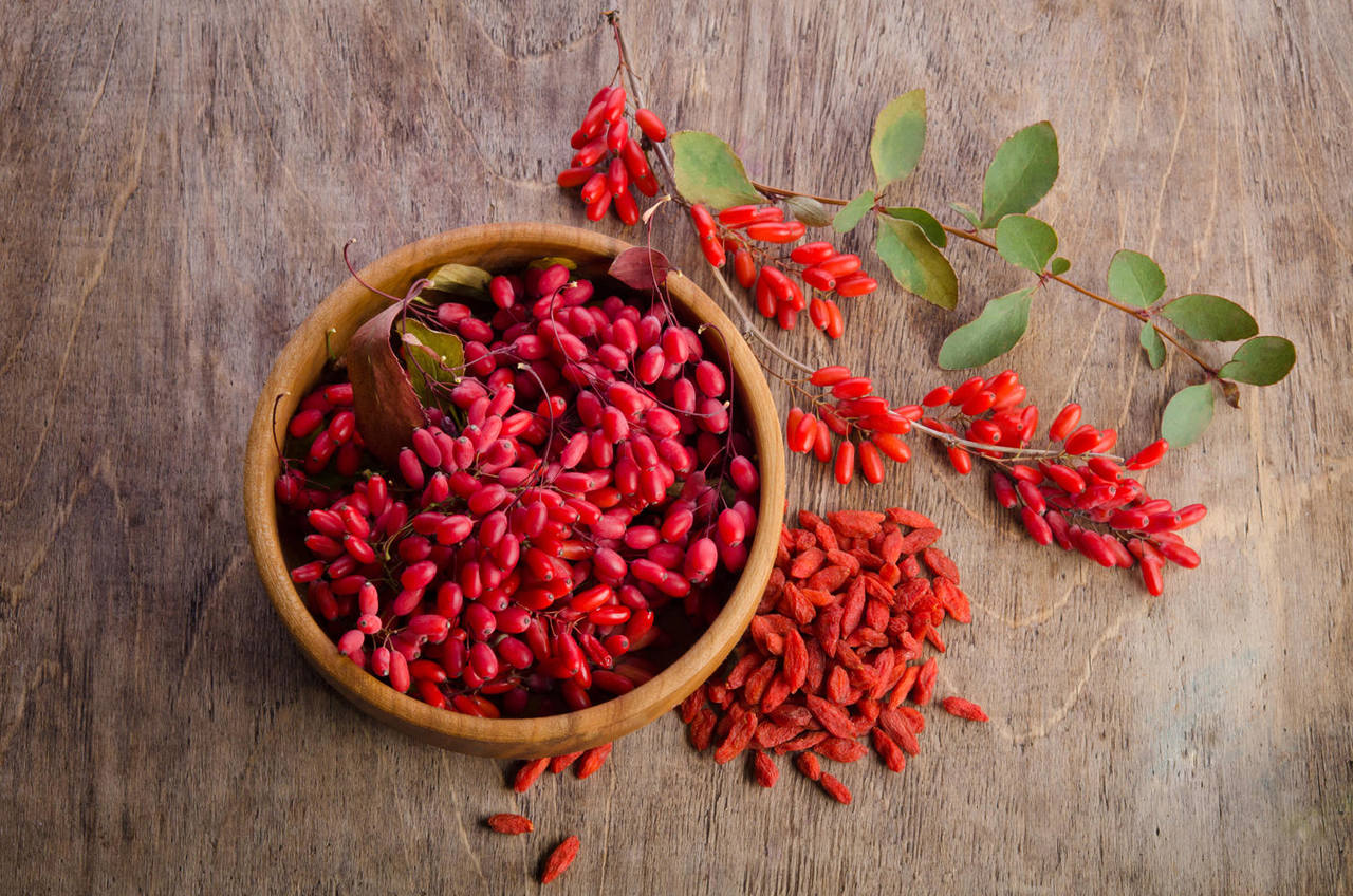 Berberine Hydrochloride - Blood Sugar Balance for Weight Management - Burn Slim
