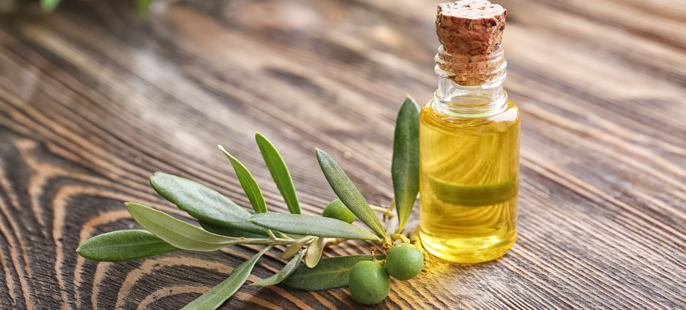 Olive Leaf Extract - Metabolic Support for Healthy Weight Loss - Burn Slim Formula