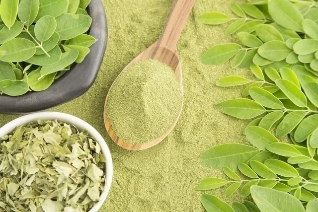 Moringa Oleifera Extract - Nutrient Absorption Booster - Burn Slim Supplement